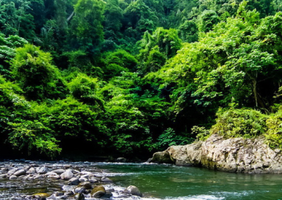 Bukit Lawang